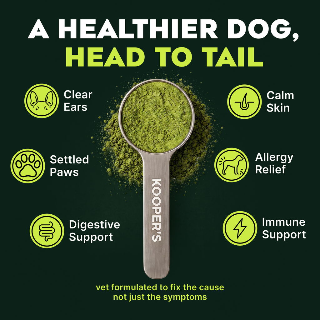 Pre, Pro & Postbiotic Superfood For Dogs