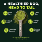 Pre, Pro & Postbiotic Superfood For Dogs