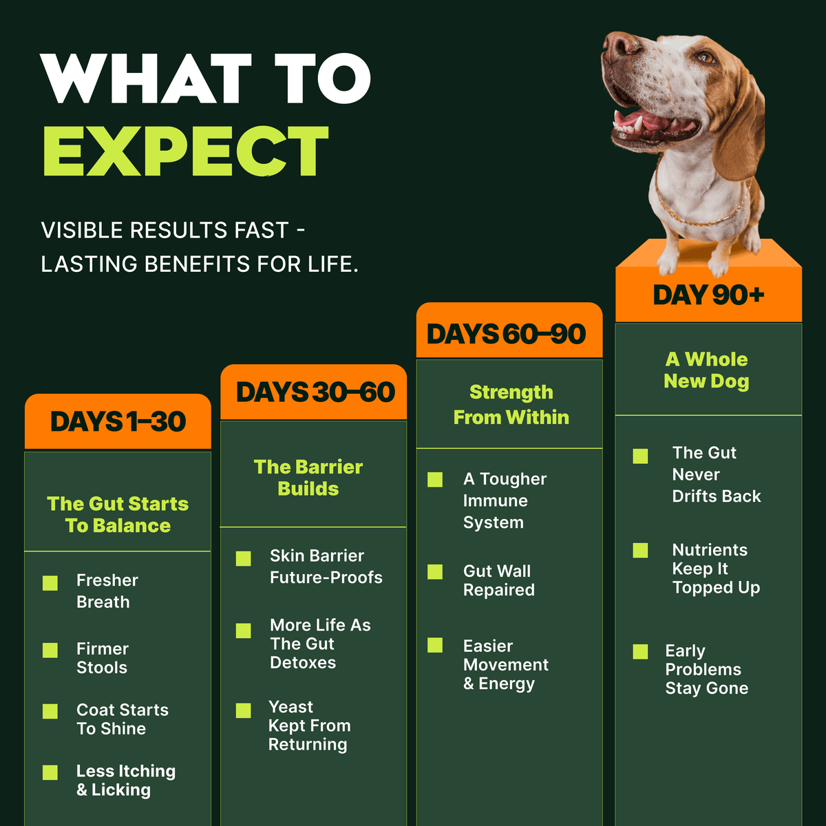Pre, Pro & Postbiotic Superfood For Dogs