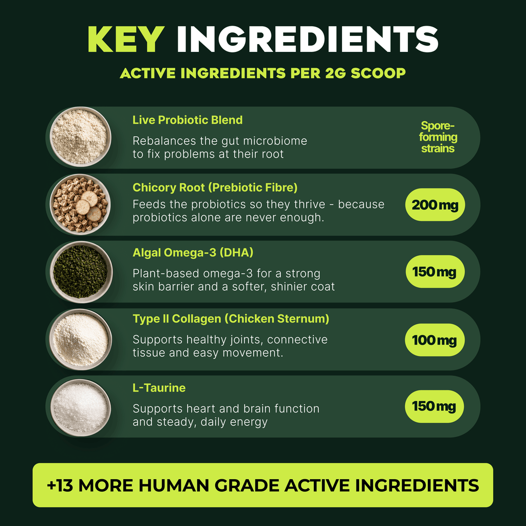 Pre, Pro & Postbiotic Superfood For Dogs