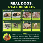 Pre, Pro & Postbiotic Superfood For Dogs