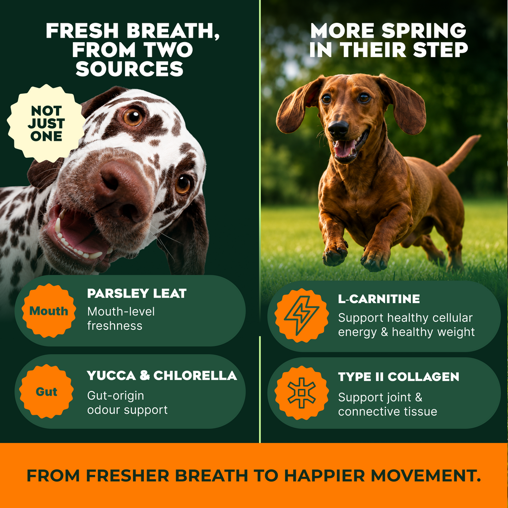 Kooper's Human Grade Superfood