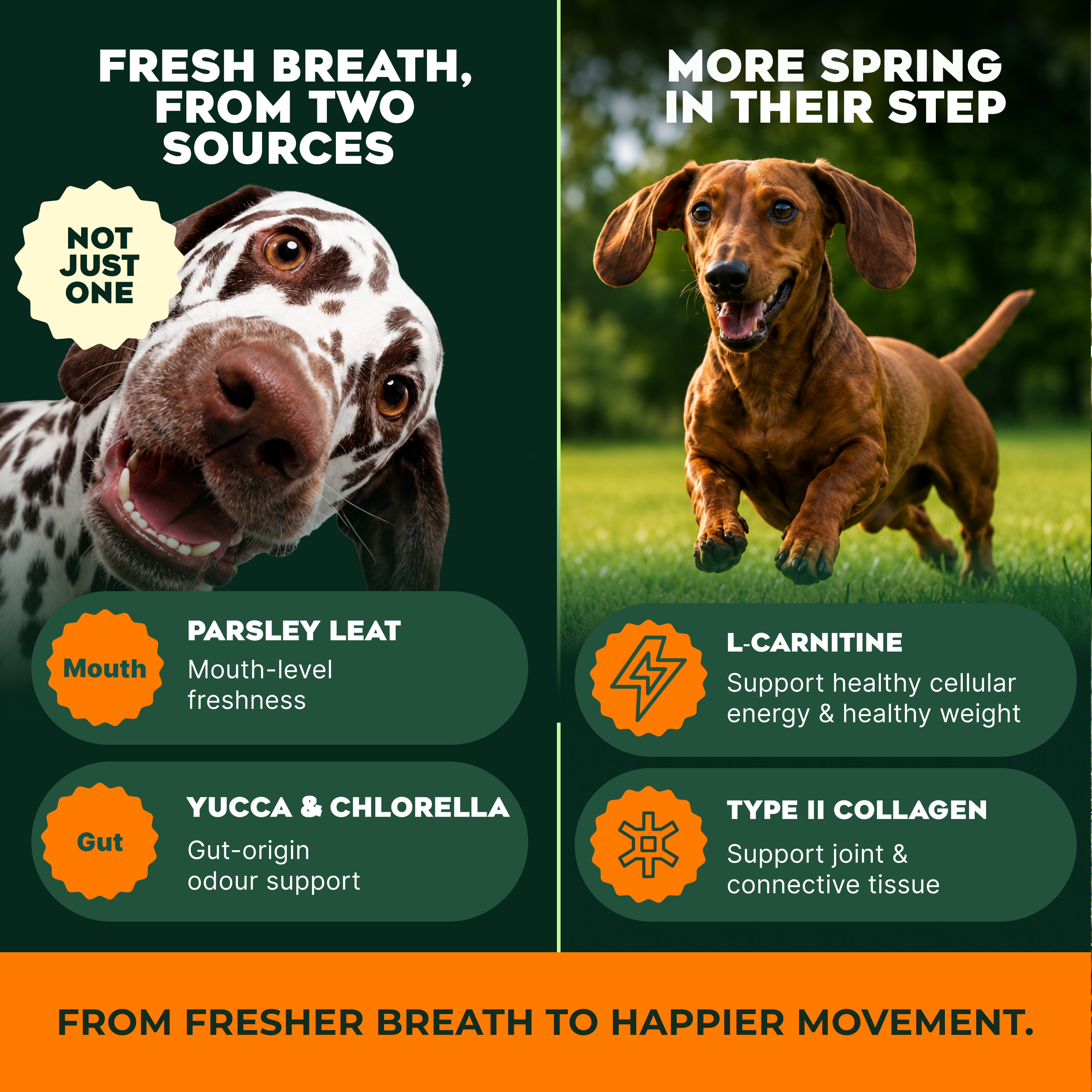 Kooper's Human Grade Superfood