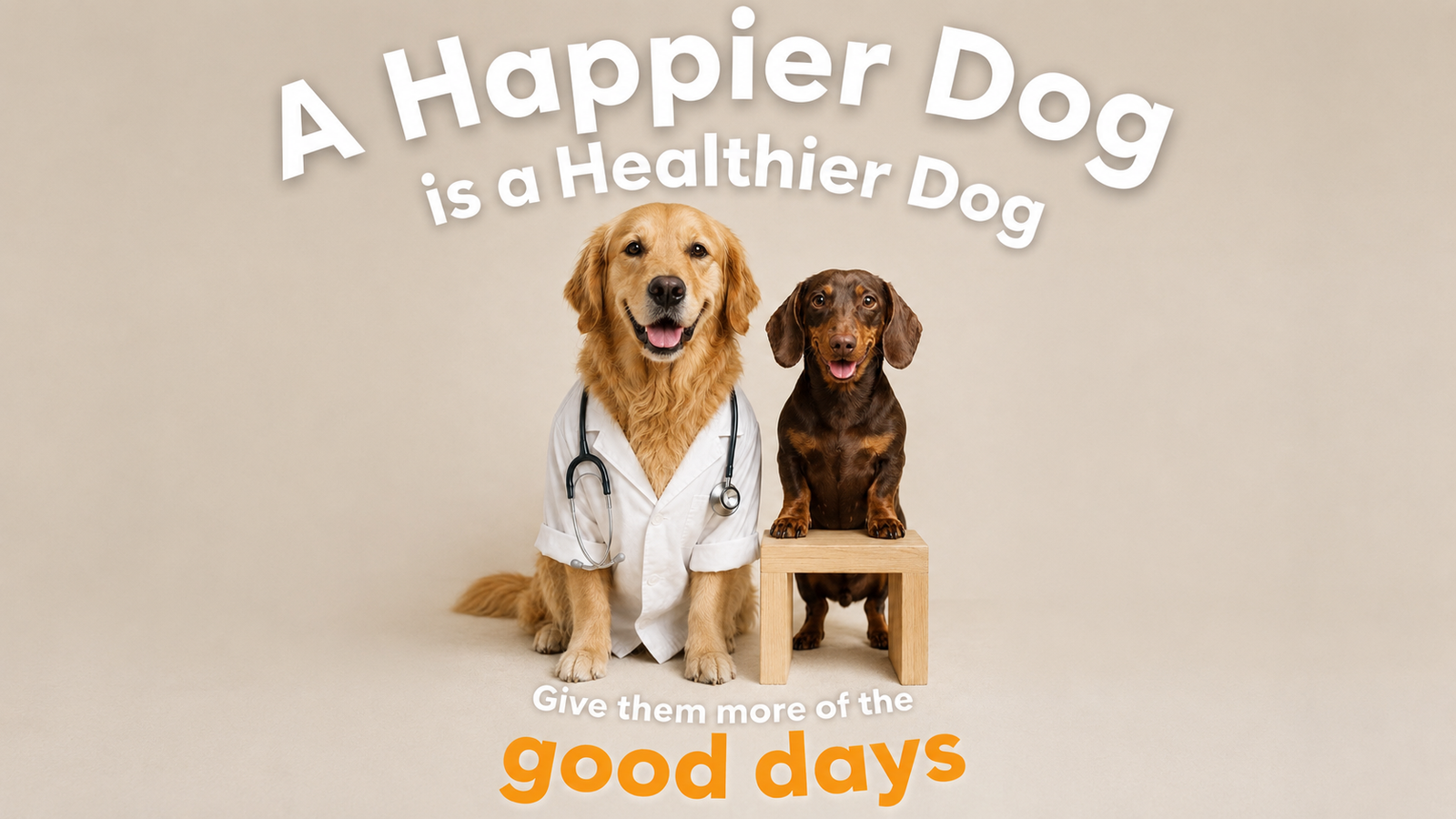 A happier dog is a healthier dog — give them more of the good days