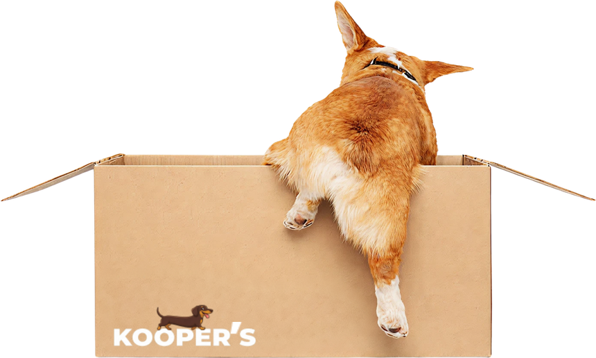 Kooper's