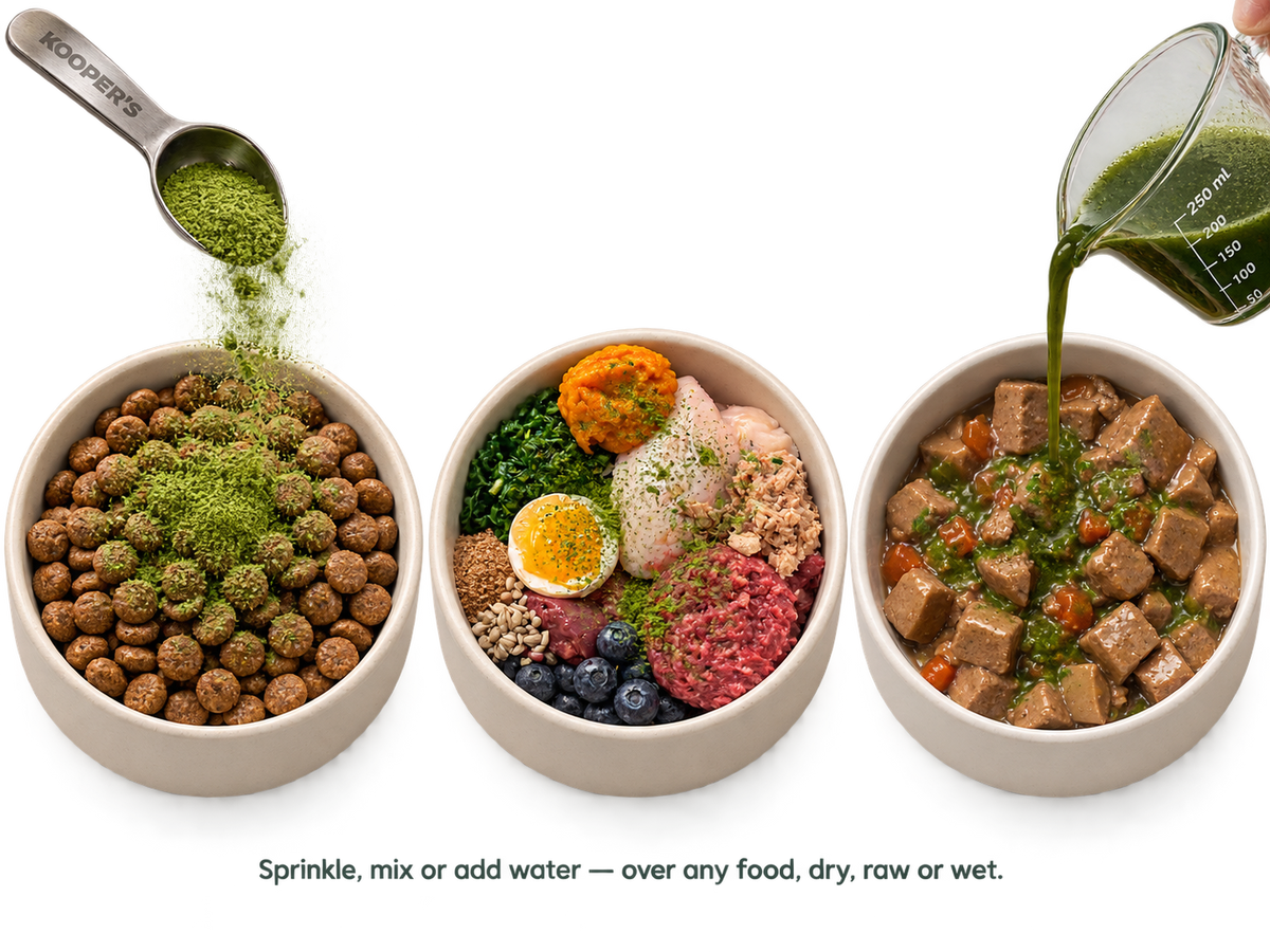 Kooper's superfood powder over three bowls